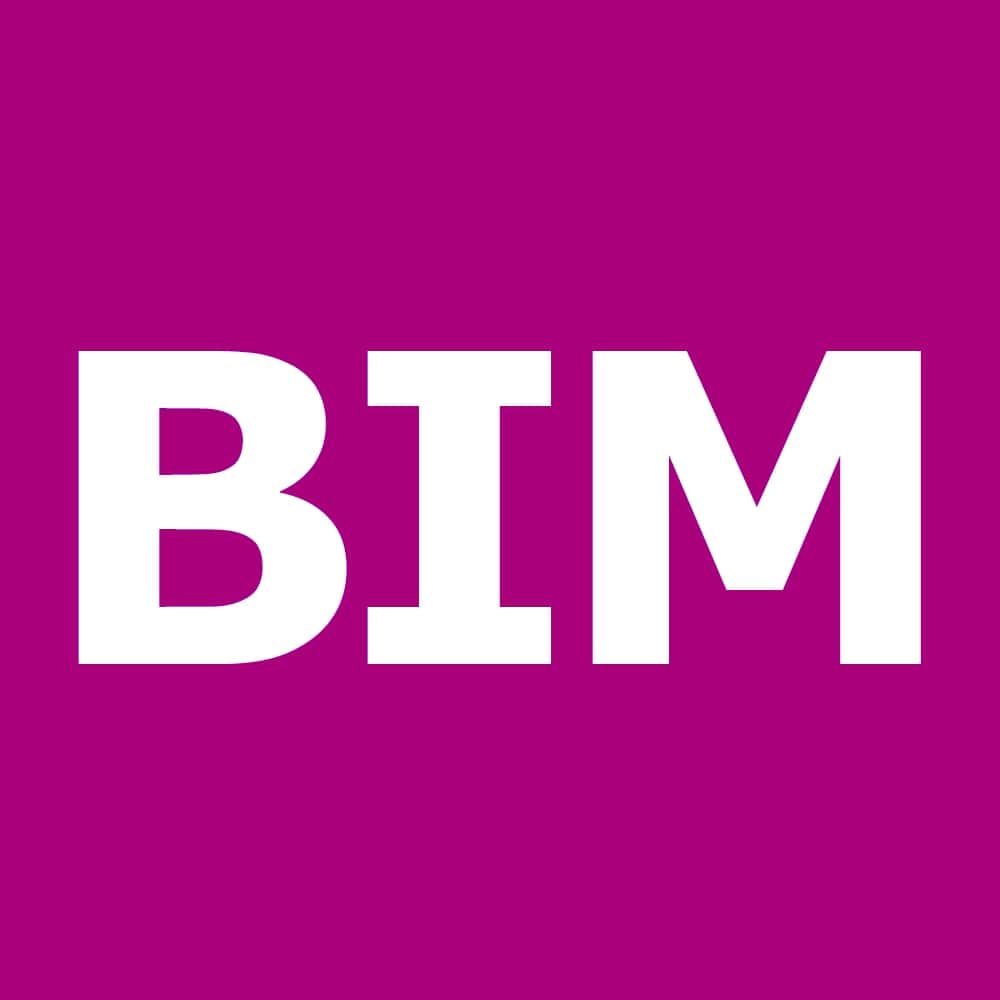 Building Information Model (BIM)